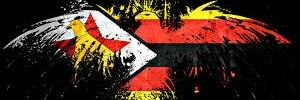 Mkanyasoko's profile banner image