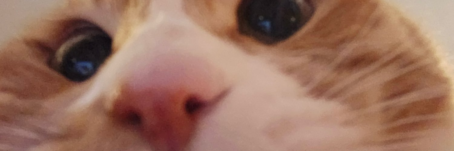 Ay banner