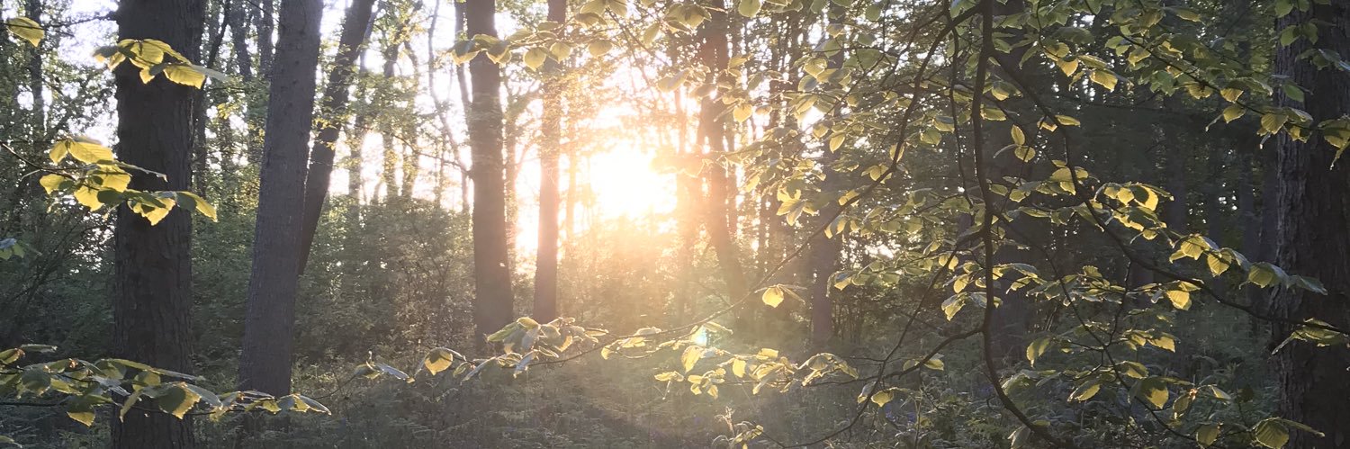 gin_ger76's profile banner image