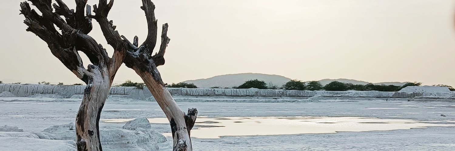 Anasanwr's profile banner image