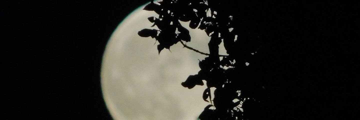 BilbarrBarian's profile banner image