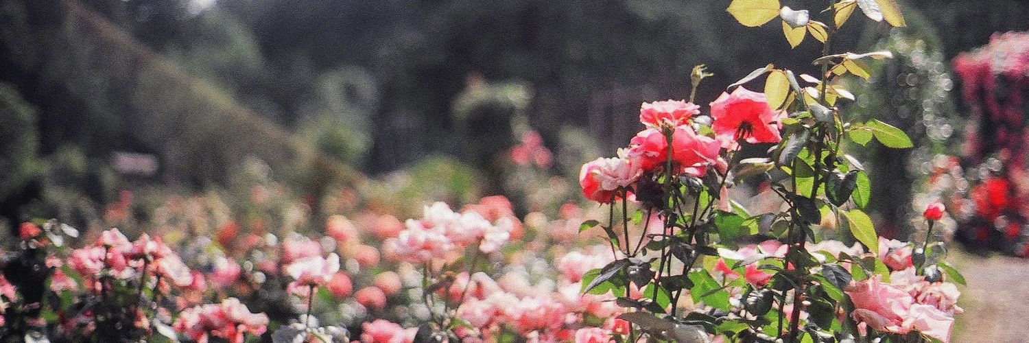 Am7ad_'s profile banner image