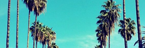 Daryll Escobar banner