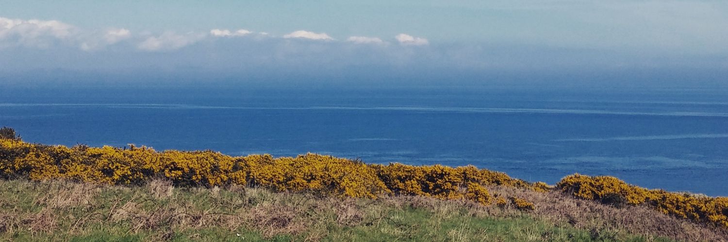 muinteoirmaire's profile banner image