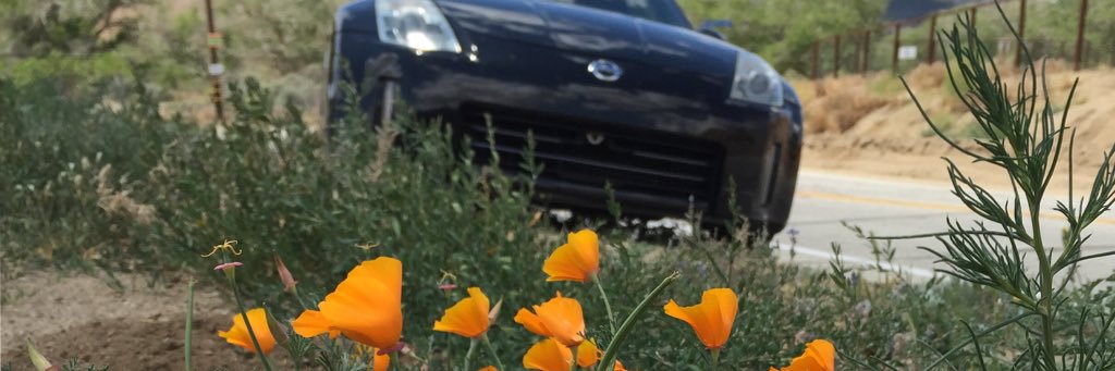 lightning in a bottle. banner