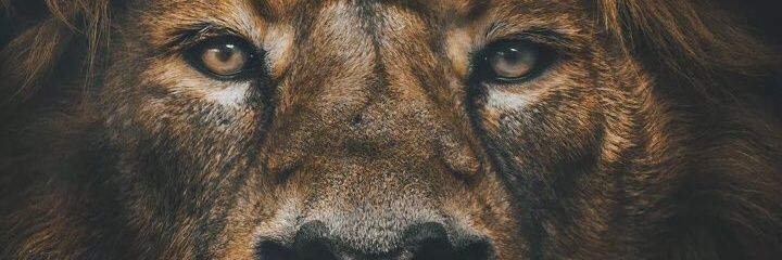 Buubu Nwa 💸 banner