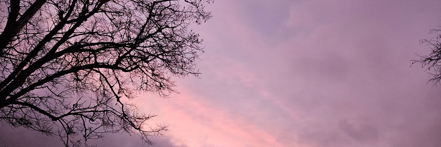 _adlig's profile banner image