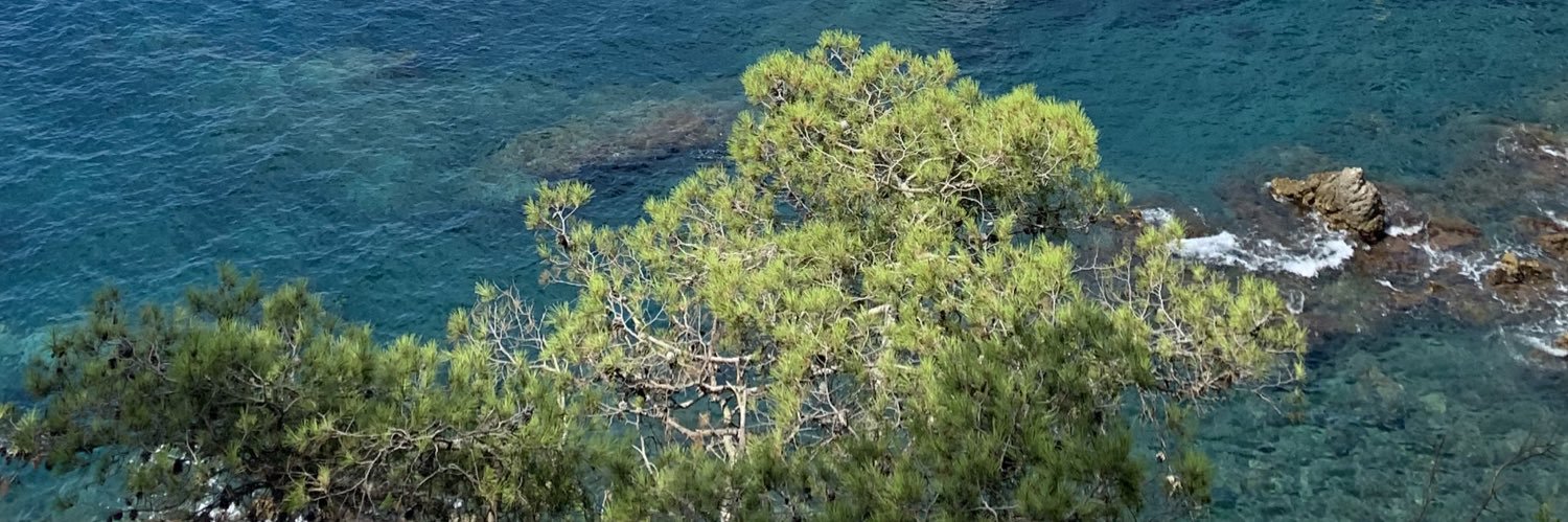 Xavier Bernat banner