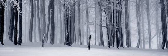 thesnowpainter's profile banner image