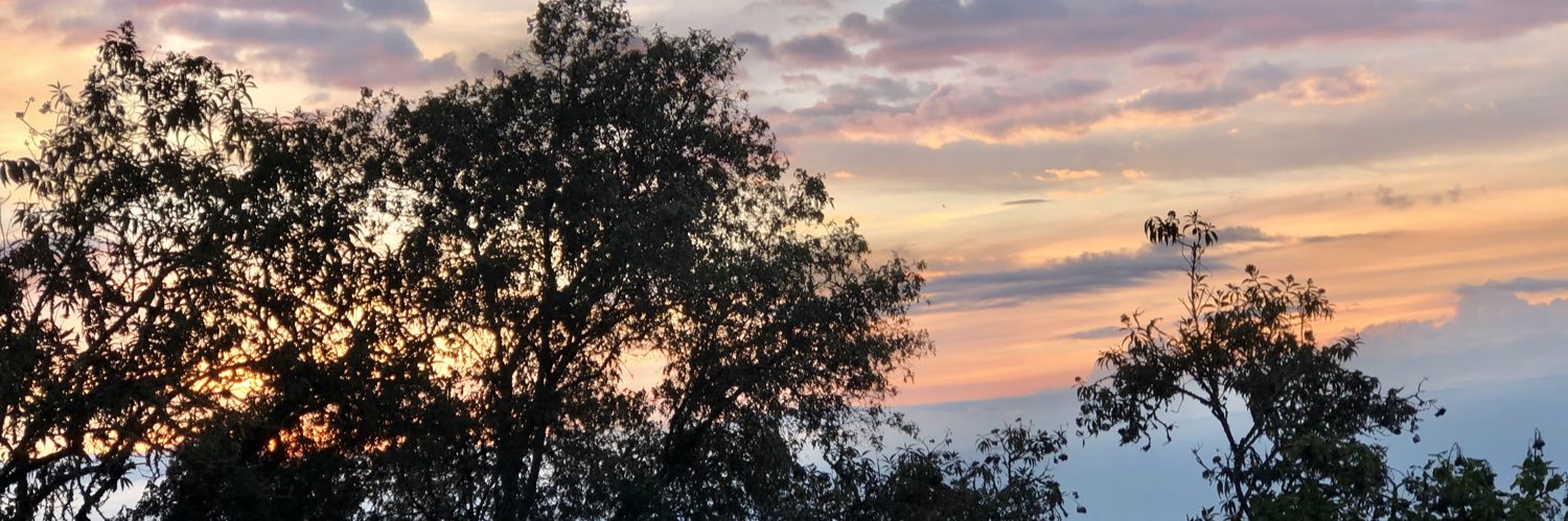 DanielaM15D's profile banner image