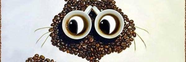 No2Expresso Profile Banner