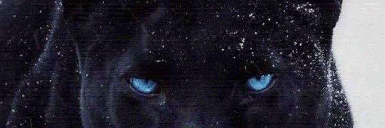 🖕🏾And Yo Feelings!! banner