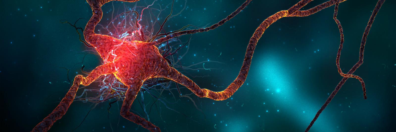 ACTIVA TU NEURONA banner