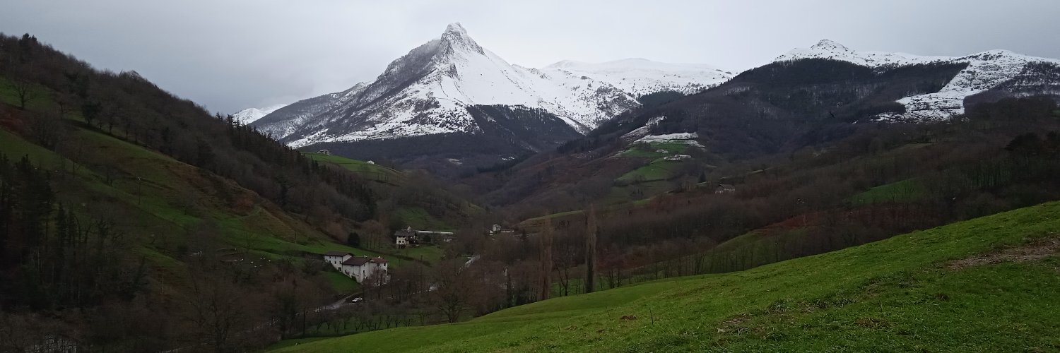 Raquel Andrés banner