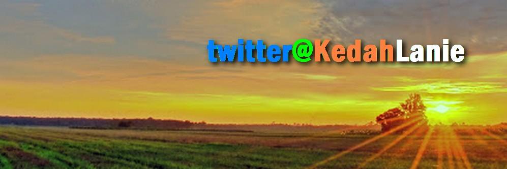 KedahLanie's profile banner image