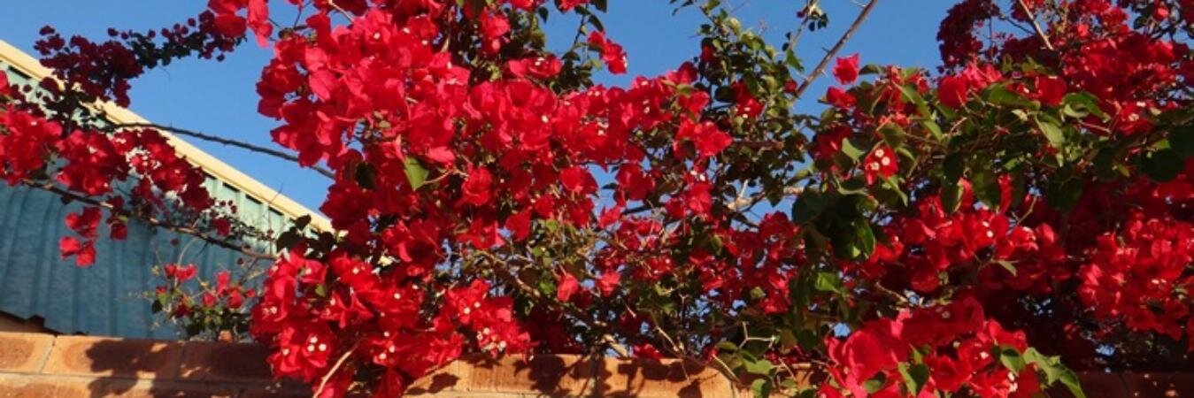 KiiRunsten's profile banner image
