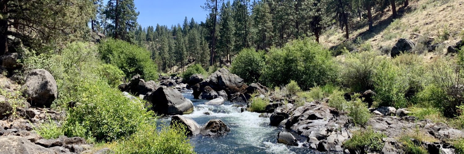 riverperkin's profile banner image