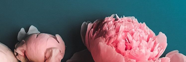 erindr00's profile banner image