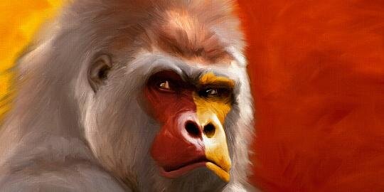 Heather Busch banner