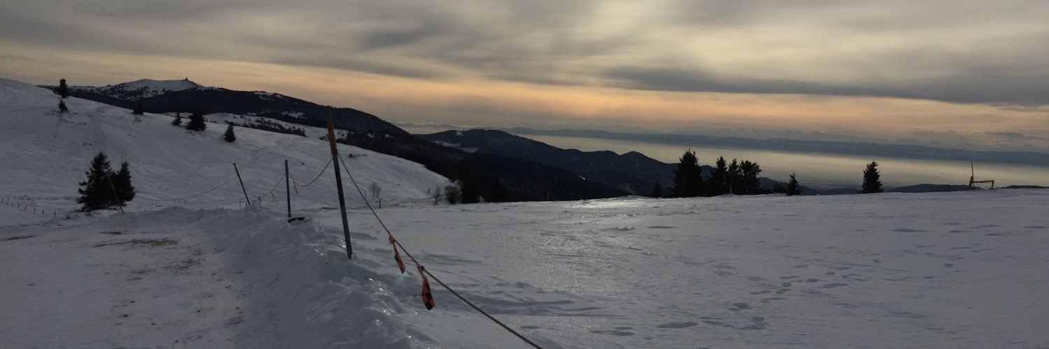 fehlmann11's profile banner image