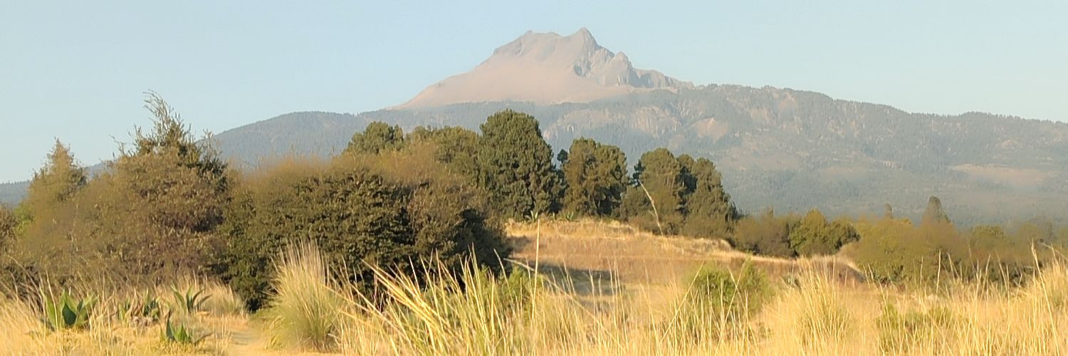 Vanesa López Silva banner