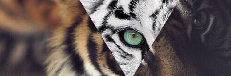 kingElvis_18's profile banner image