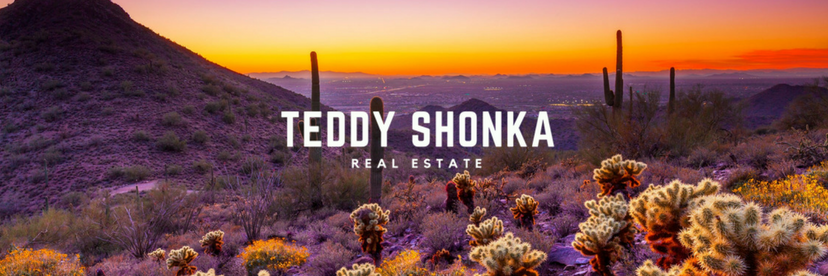 TeddyShonka's profile banner image
