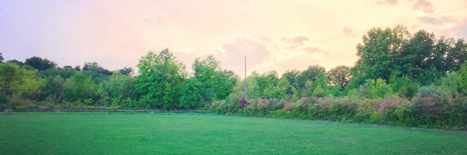 PeloMommy's profile banner image