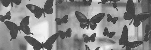 marwaothman2910's profile banner image