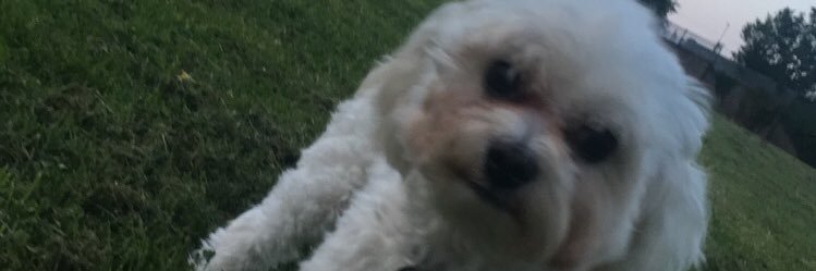 EricGrandePene's profile banner image