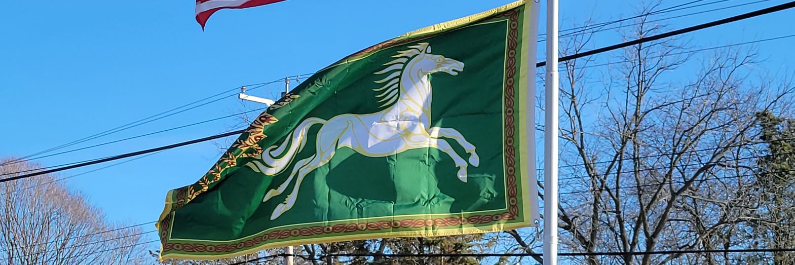 pjlevine's profile banner image