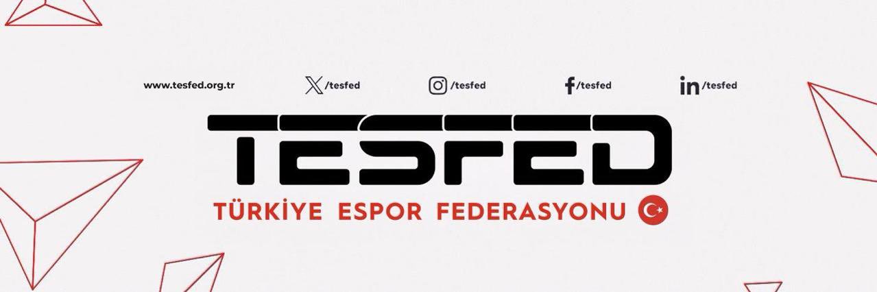 Türkiye Espor Federasyonu banner
