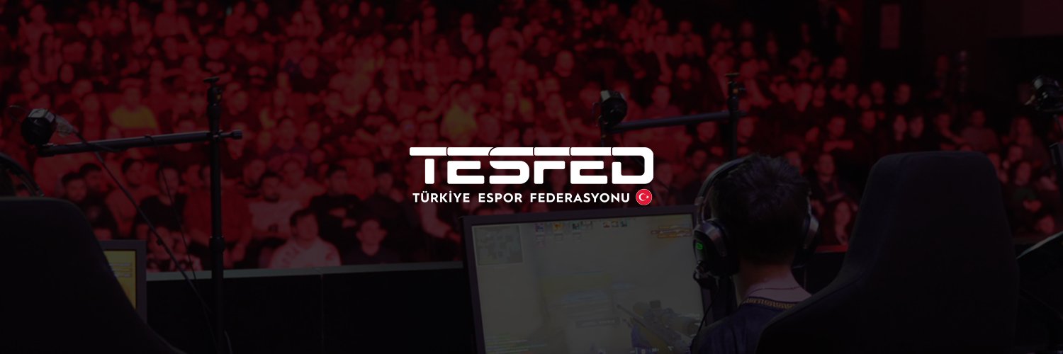 Türkiye Espor Federasyonu banner
