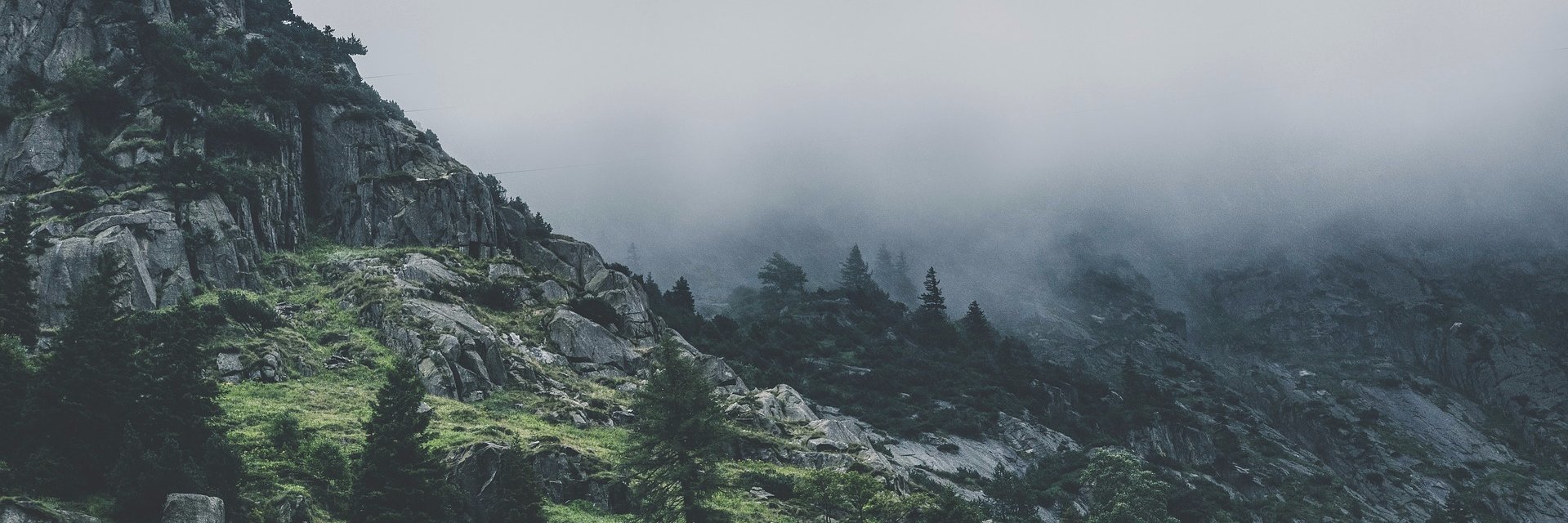 jandevguy's profile banner image