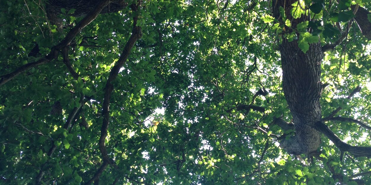 NadaKhalid91's profile banner image
