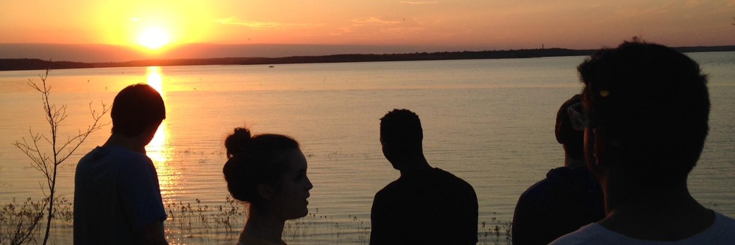 bonkricketagain's profile banner image