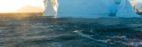 jaccsa Profile Banner