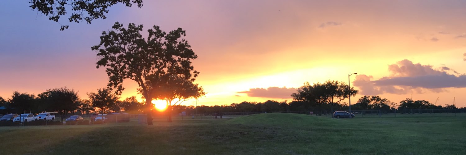 EricTheTexan banner