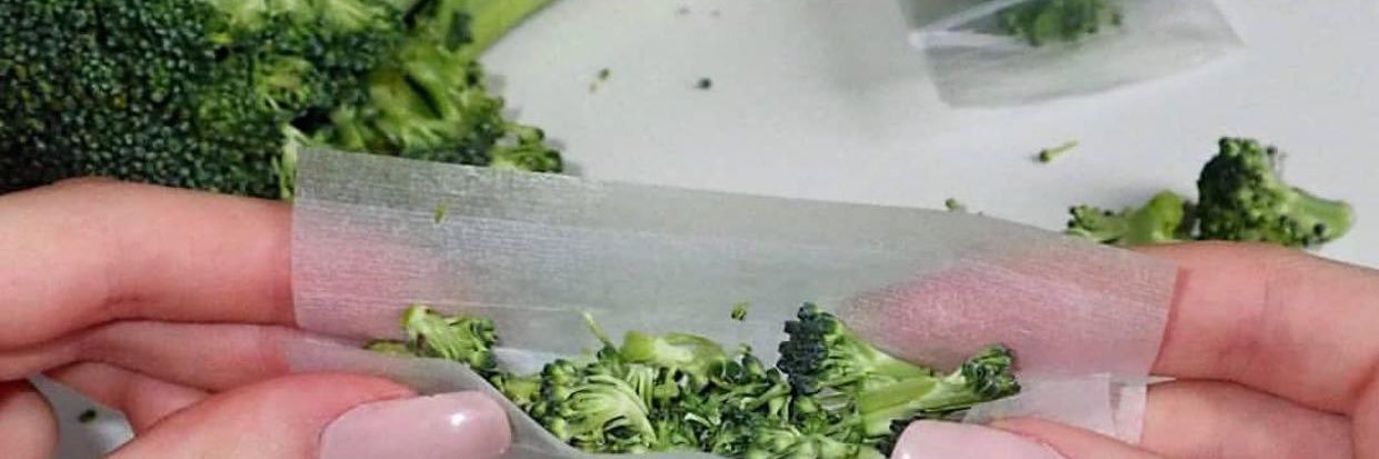naatbertolacini's profile banner image