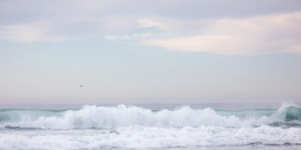 arianagsvgdr's profile banner image