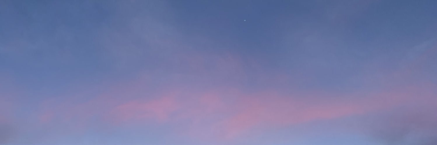 Shaniavegaa's profile banner image