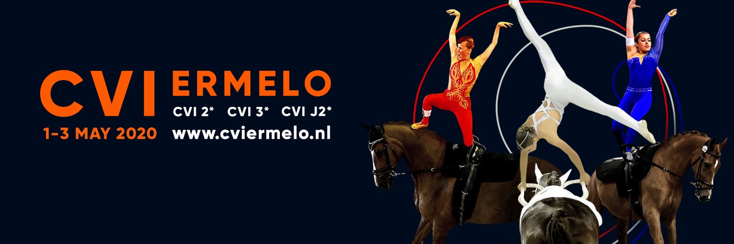 CVIErmelo's profile banner image