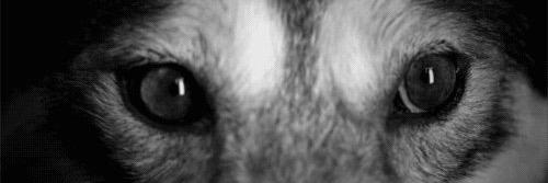thisfeelsright_'s profile banner image