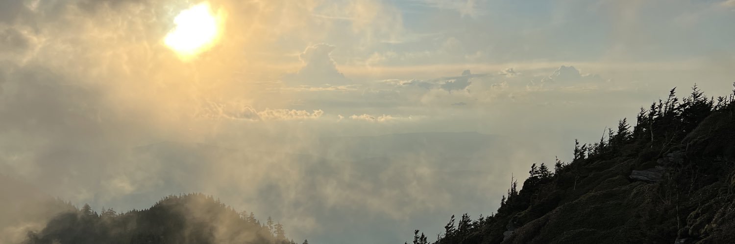 Gabbysch_'s profile banner image