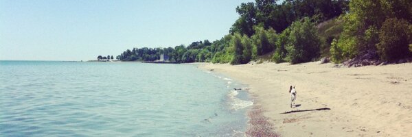 dekkerj Profile Banner