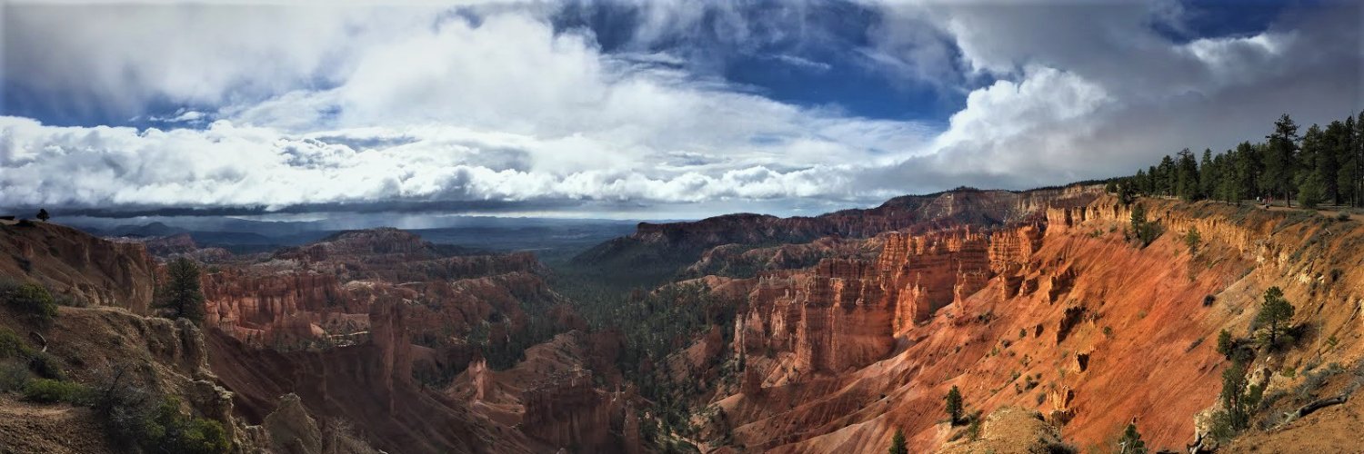 Gewt Ningrich banner