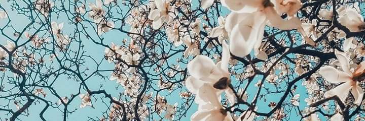 BergantinDanny's profile banner image