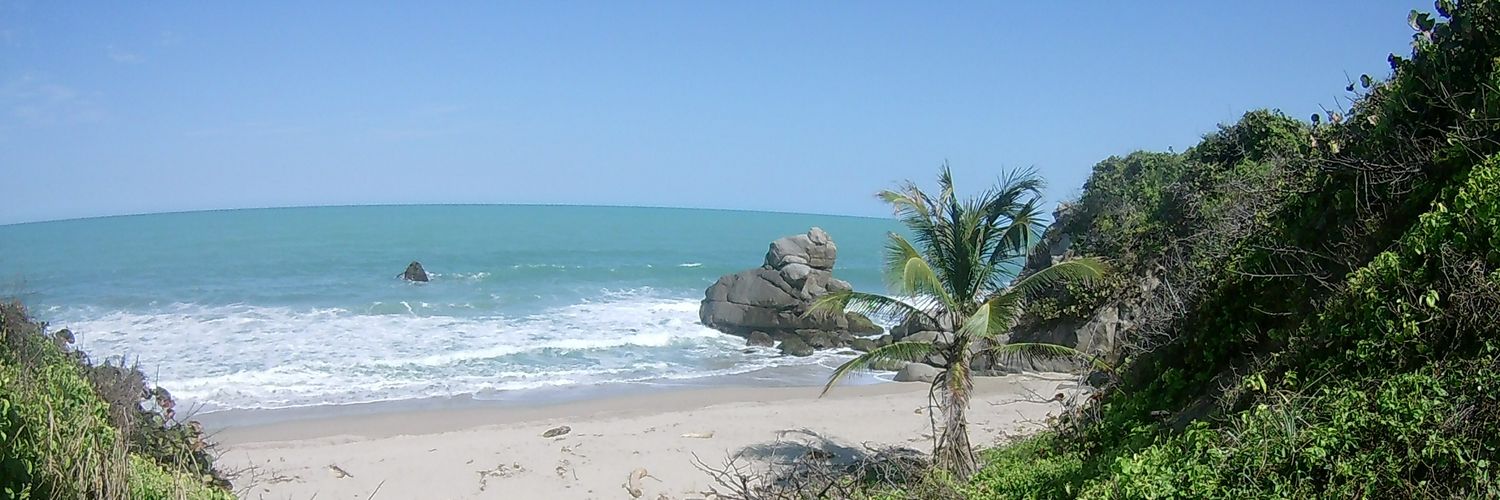 maximeritano's profile banner image