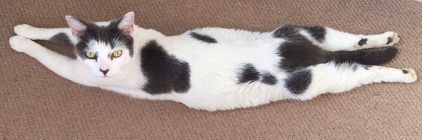 MandyPrintmaker Profile Banner