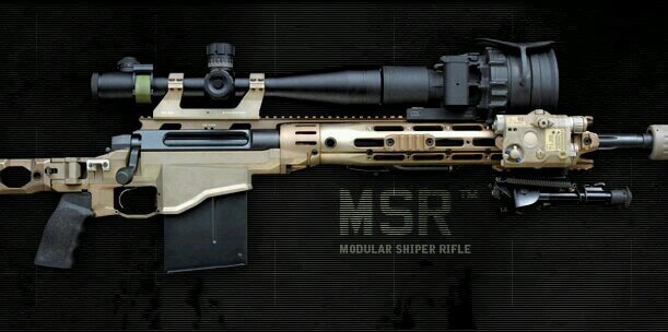 Remington MSR banner